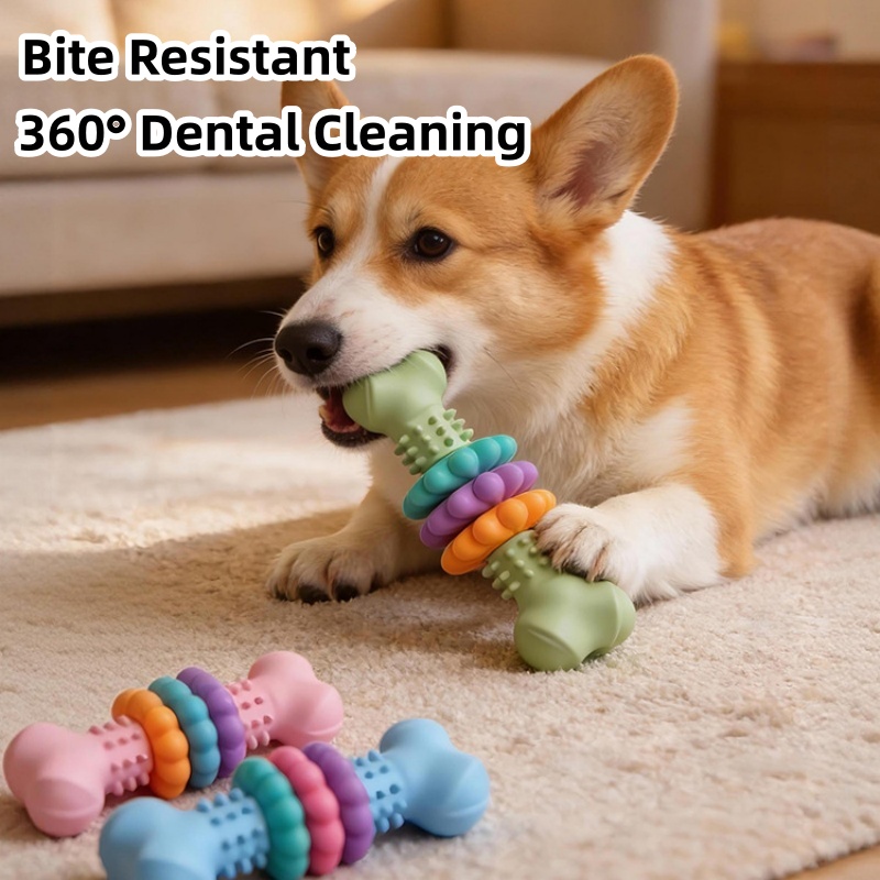 Teeth Cleaning Dog Chew Bone - Brinquedo Durável de TPR para Cães