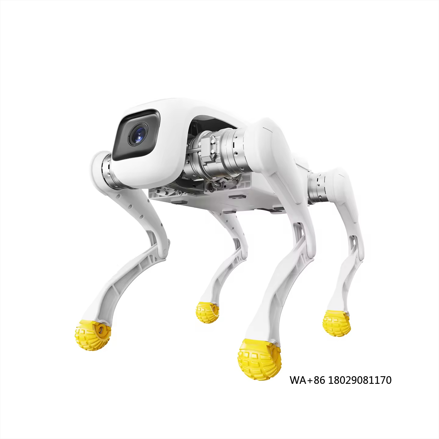Dog Toys - Design Dog Robot AI Brinquedo robótico