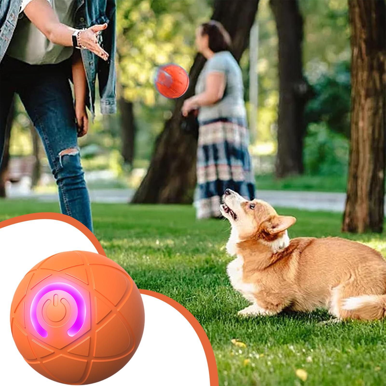 Automatic Moving Dog Ball - Brinquedos interativos inteligentes para cães, mastigadores