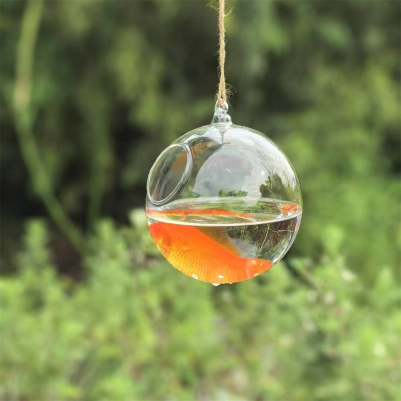 Aquarium - Terrário de Vidro Transparente com Diâmetro