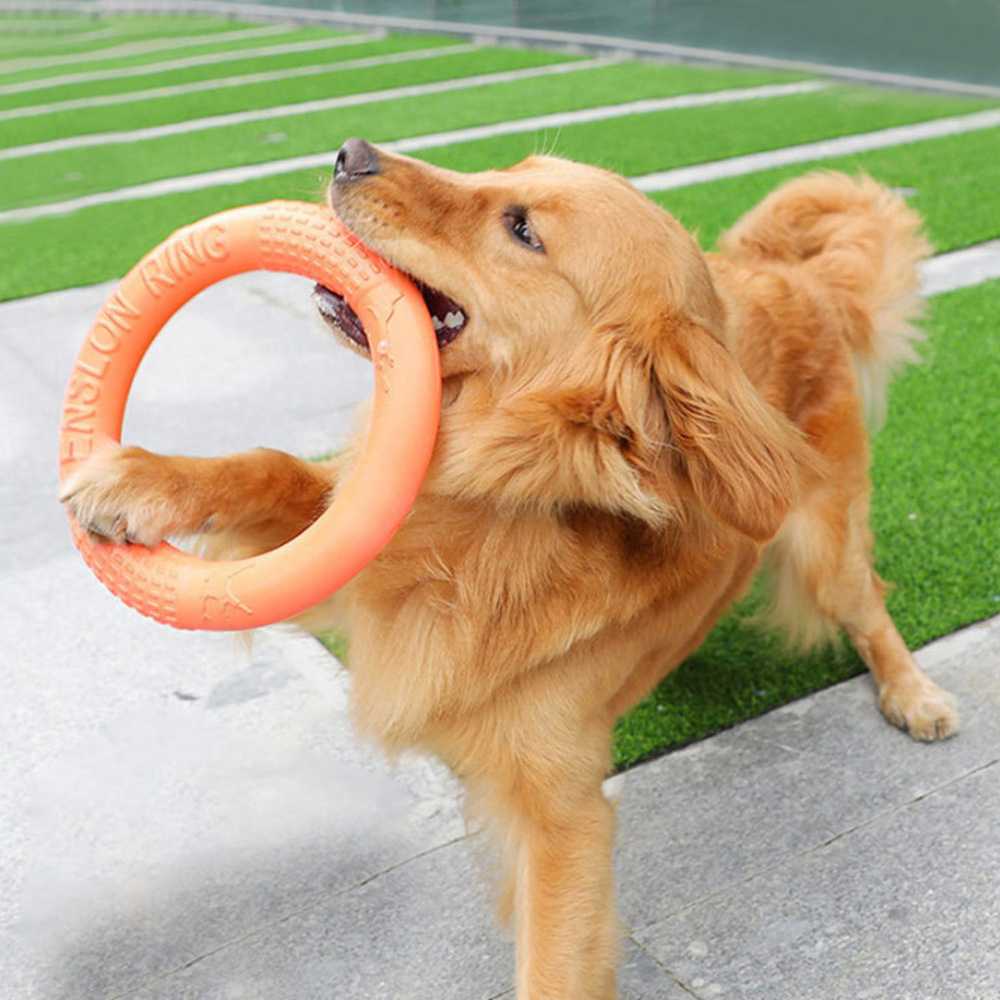 Laranja voando disco formação  - Interactive Squeaky Plush Dog Toy avaliação e preço