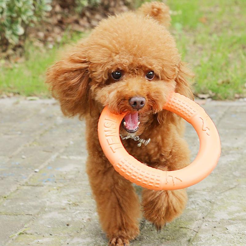 Laranja voando disco formação  - Interactive Squeaky Plush Dog Toy avaliação e preço