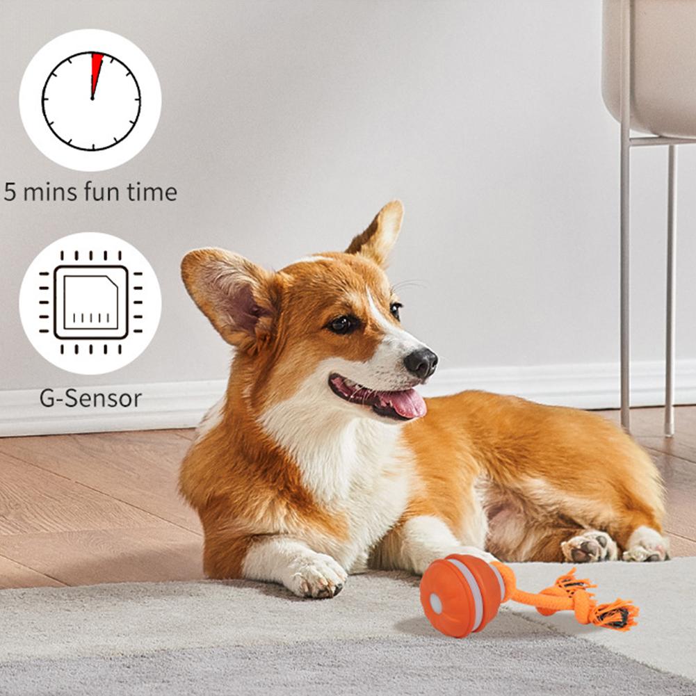 Bola para animais de estimação - Automatic Moving Dog Ball avaliação e preço
