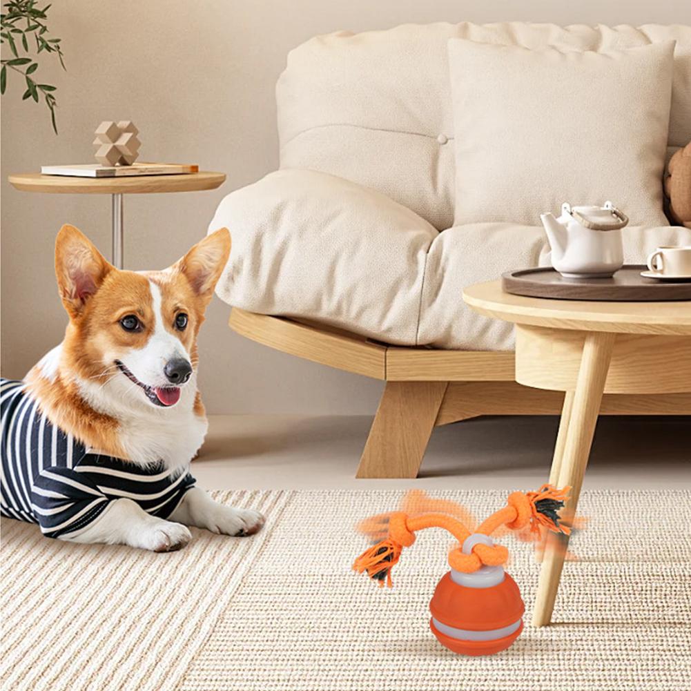 Bola para animais de estimação - Automatic Moving Dog Ball avaliação e preço
