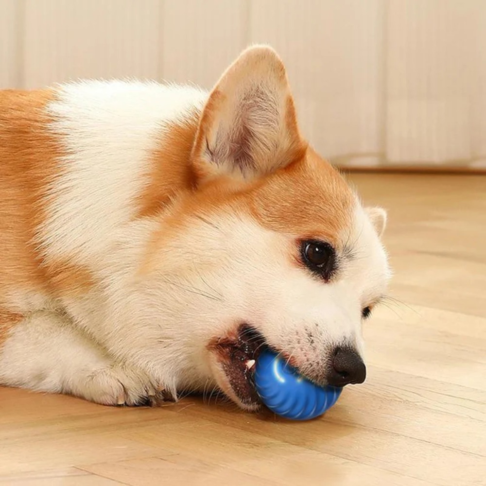 Novo 1pc movimento automático  - Automatic Moving Dog Ball avaliação e preço