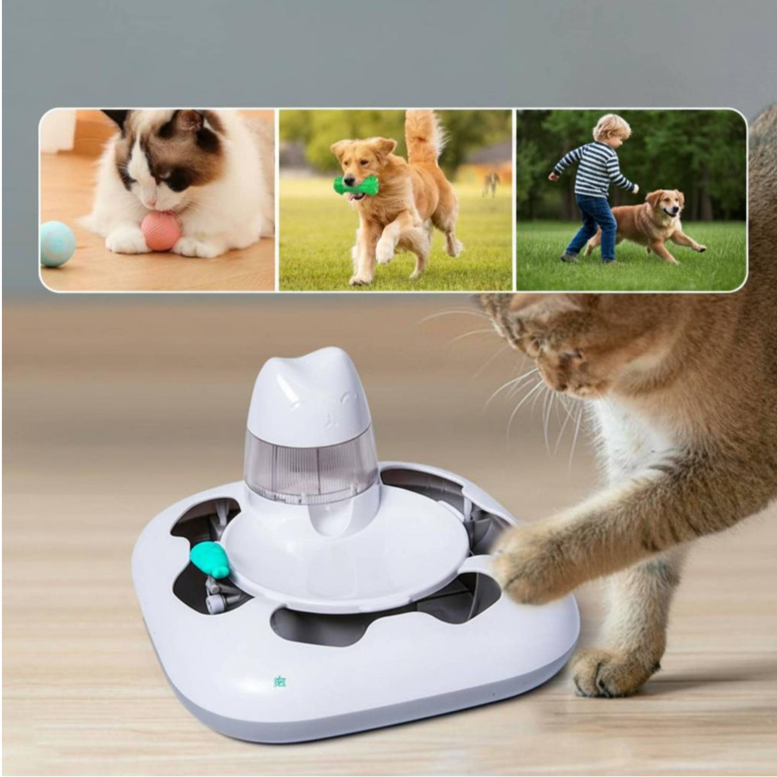 Máquina de Caça Interativa par - Cat Toys avaliação e preço
