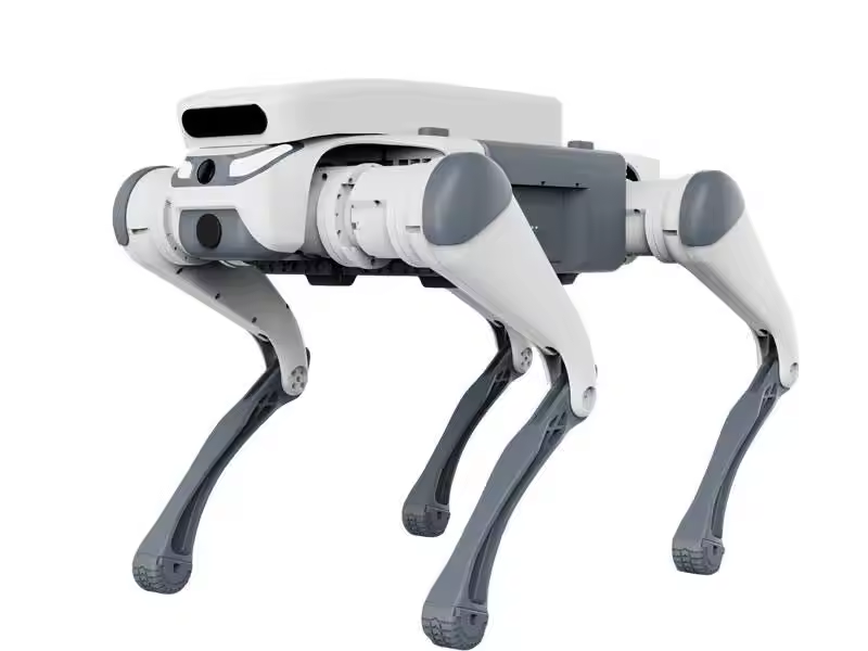 Dublê de controle remoto brinq - Dog Toys avaliação e preço