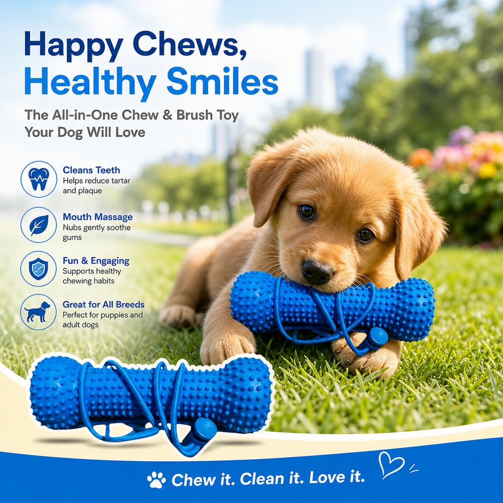 Brinquedo para mastigar para l - Teeth Cleaning Dog Chew Bone avaliação e preço