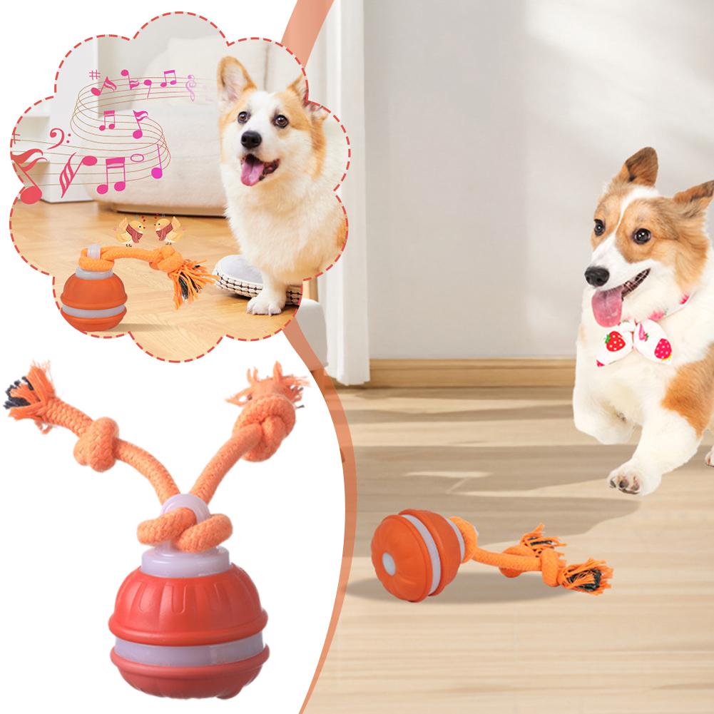 Bola de cachorro recarregável  - Automatic Moving Dog Ball avaliação e preço