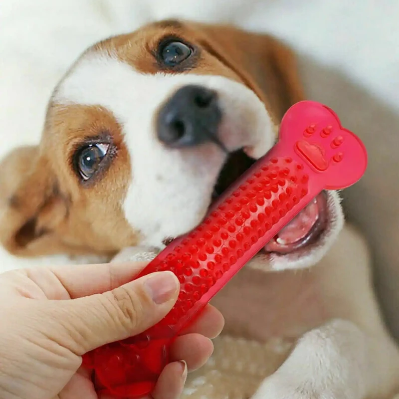 Brinquedo de mastigar osso de  - Teeth Cleaning Dog Chew Bone avaliação e preço