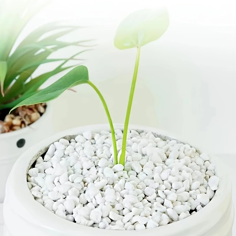 1l de alta qualidade perlite s - Pet Beds avaliação e preço