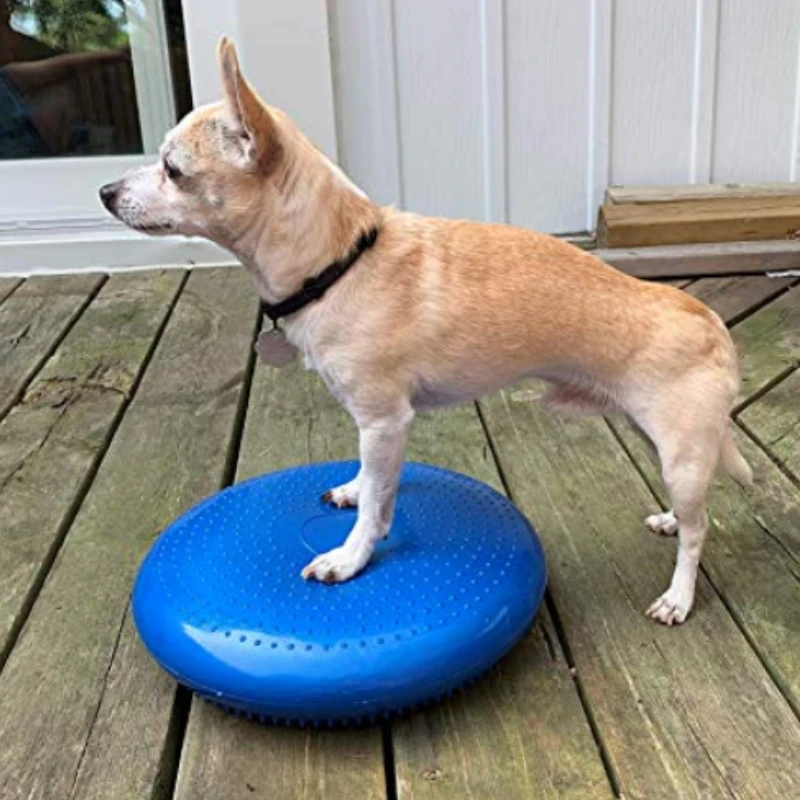 Balance Flying Saucer para Ani - Flying Disc Dog Training Toy avaliação e preço