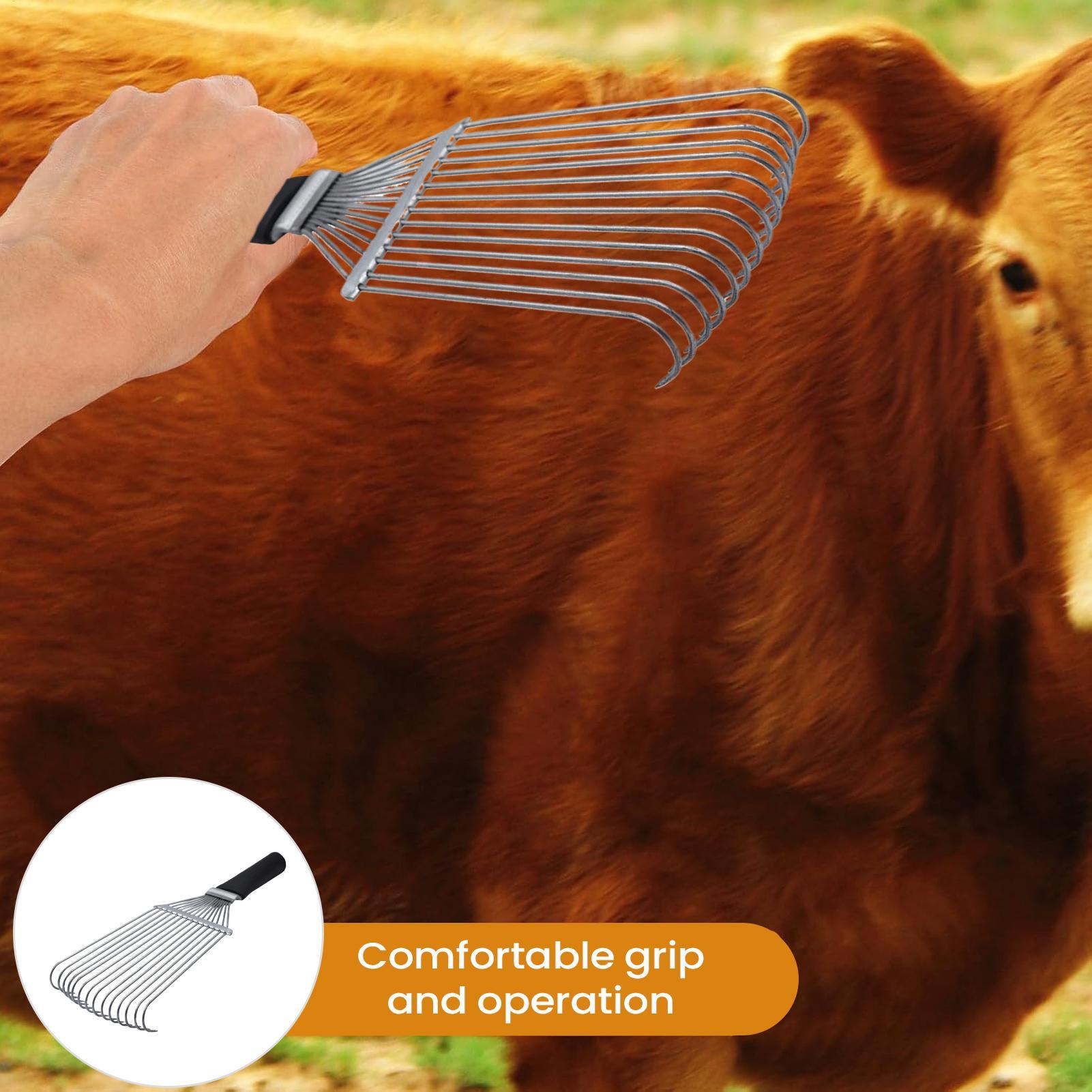 Ancinho para preparação de cav - Pet Grooming avaliação e preço