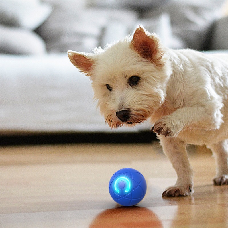 Bola de brinquedo para cachorr - Suction Cup Dog Tug Toy avaliação e preço