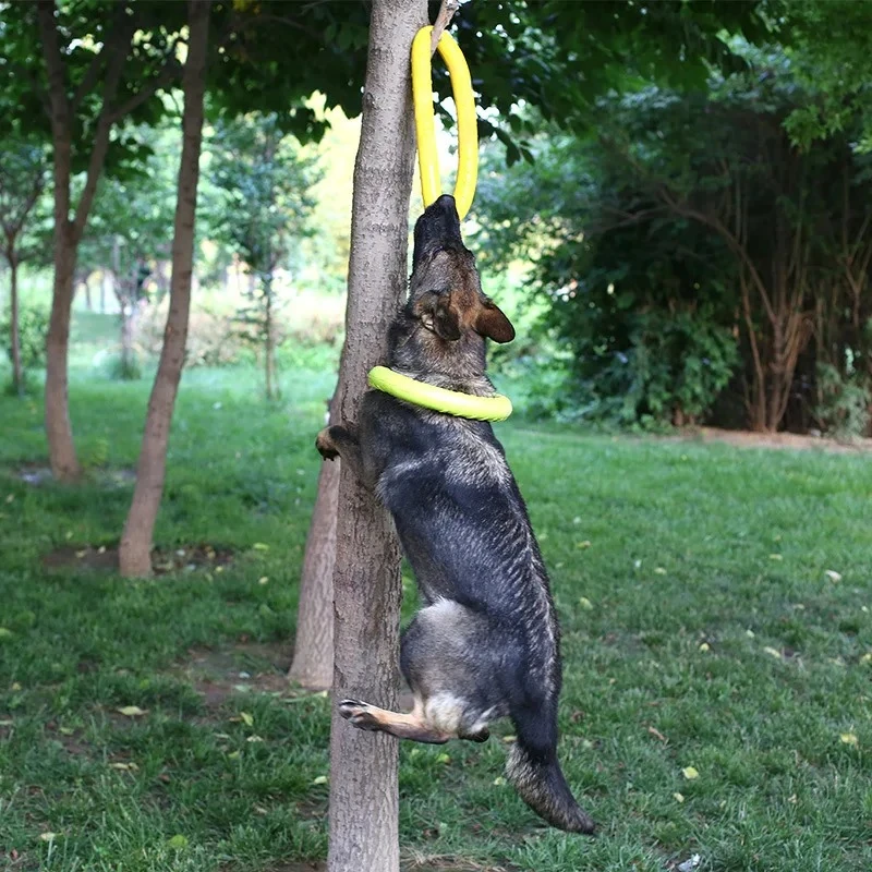 Brinquedos para Cães: Discos V - Flying Disc Dog Training Toy avaliação e preço