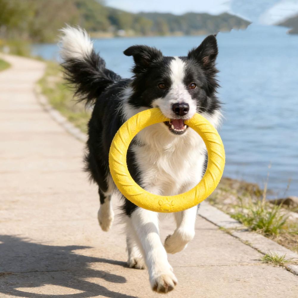 Brinquedos de Argola para Cães - Indestructible Dog Chew Toy avaliação e preço