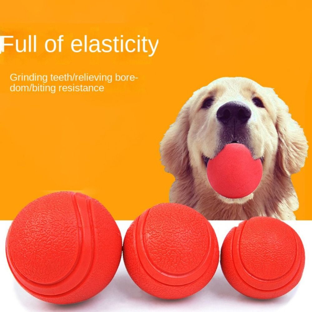 Pet bola sólida de borracha, D - Indestructible Dog Chew Toy avaliação e preço