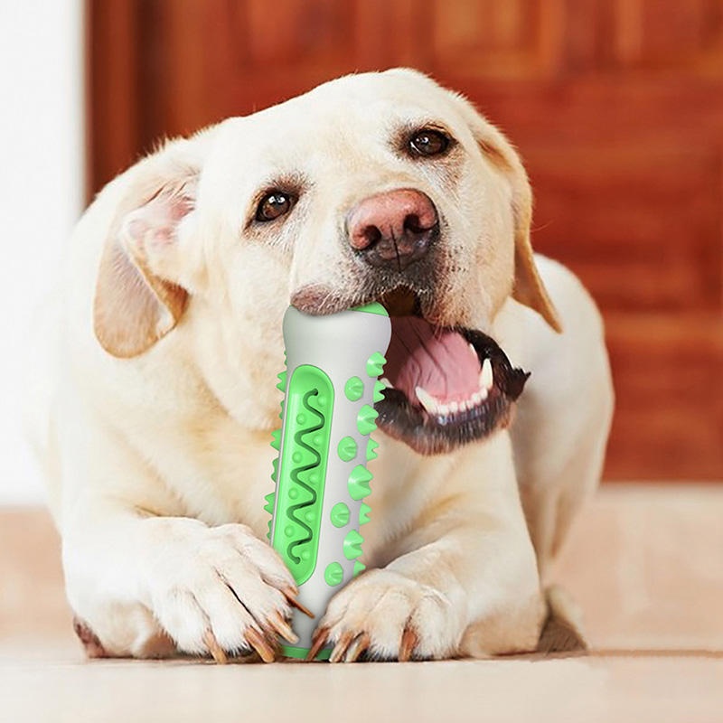 Brinquedo de Mastigar para Cãe - Teeth Cleaning Dog Chew Bone avaliação e preço